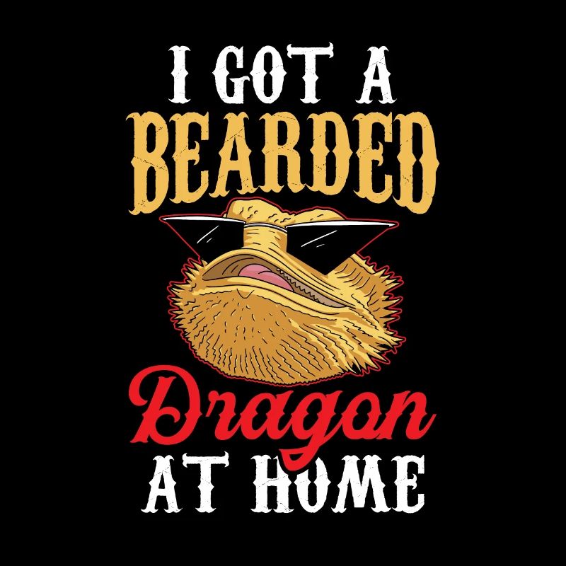 Ich Habe Eine Bartagame Zu Hause Bearded Dragon