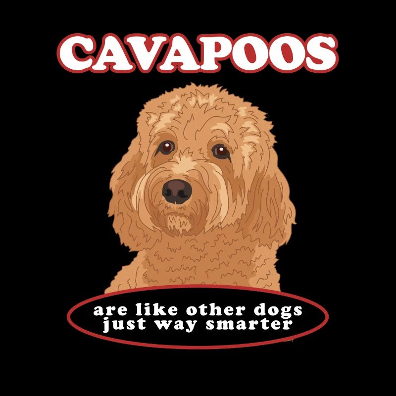 Cavapoo Dog Cavoodle Dog Owner Cadeau
