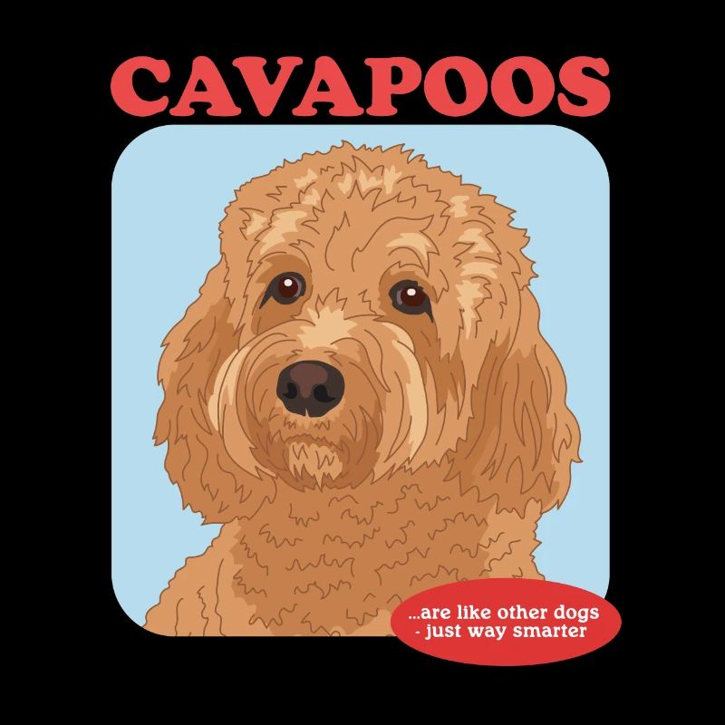 Cavapoo Hunde Cavoodle Hundebesitzer Geschenk