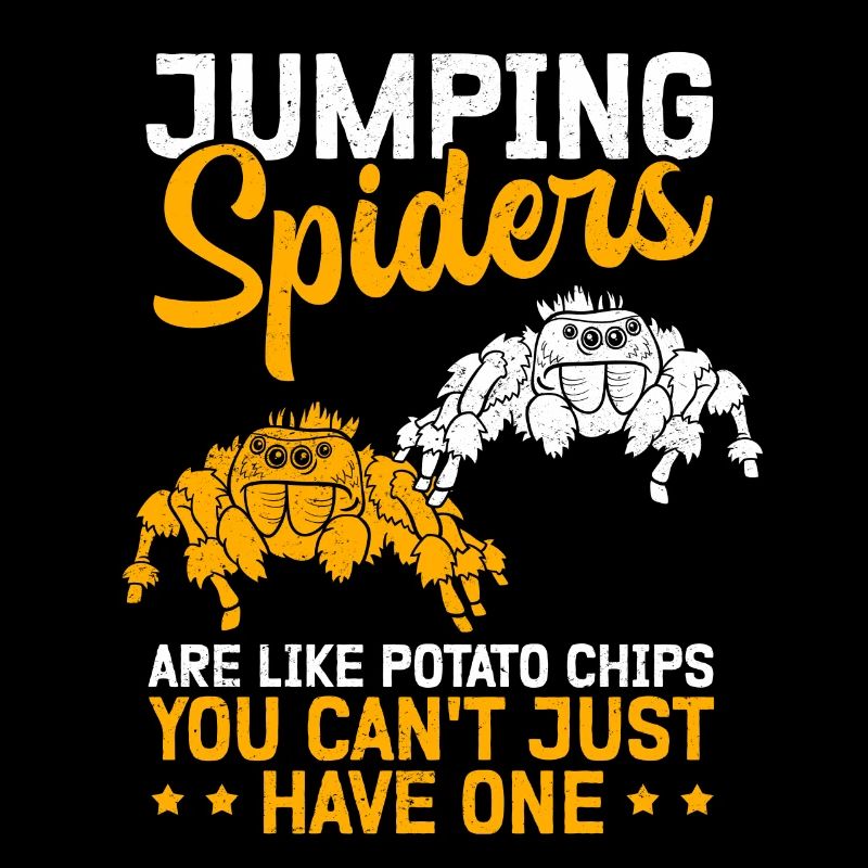 Jumping Spiders Spider Jumping Spider Gift