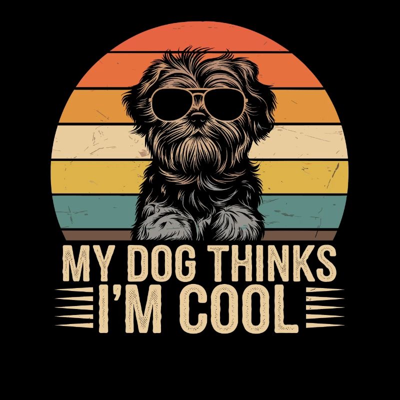 Shi Shitzu Mein Hund Denkt Das Ich Cool Bin