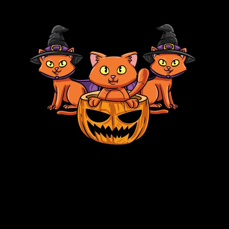 Hexen Katzen