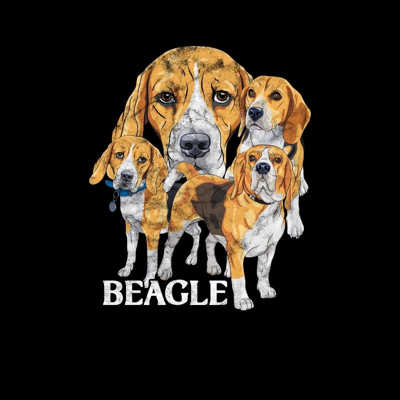 Beagle