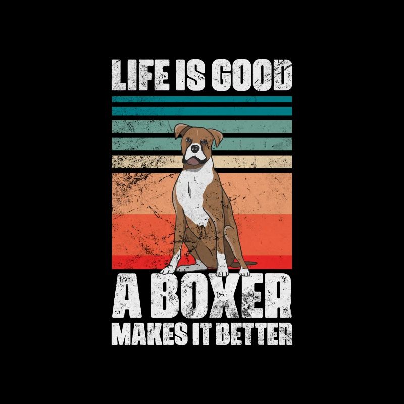 Boxer Dog