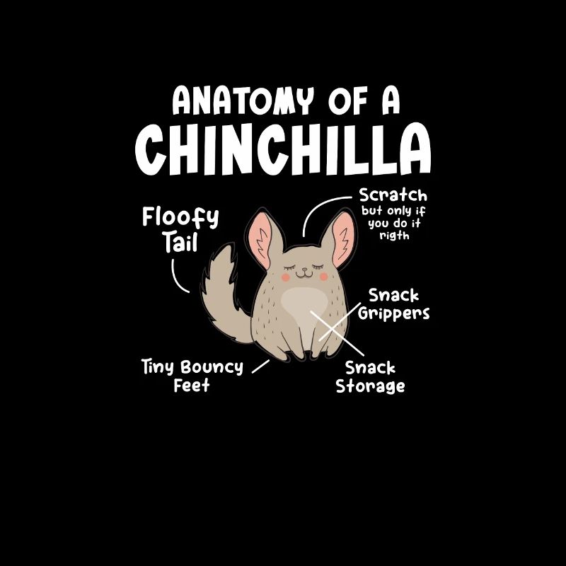 Chinchilla