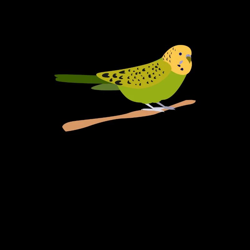 Perruche oiseau animal de compagnie perruche cadeau