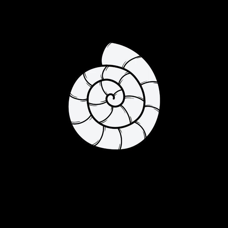 Snail Shell Spiral Snail