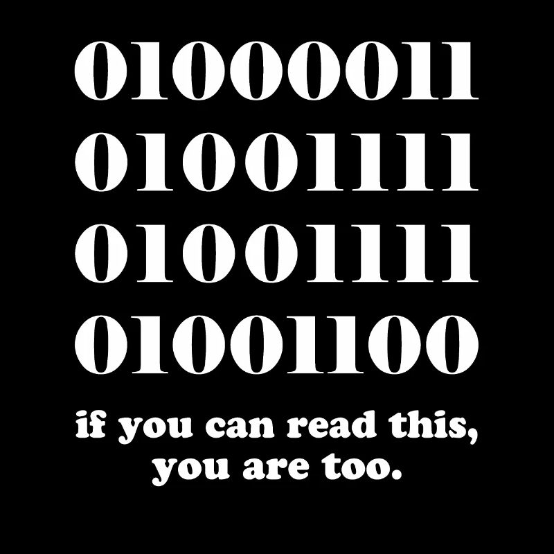 Computer binary code developers gift