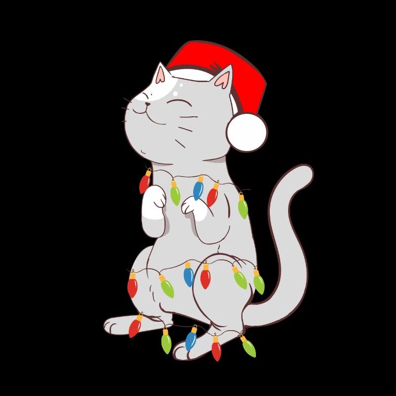 Schwarze Katze Bunte Lichter Katze Kätzchen