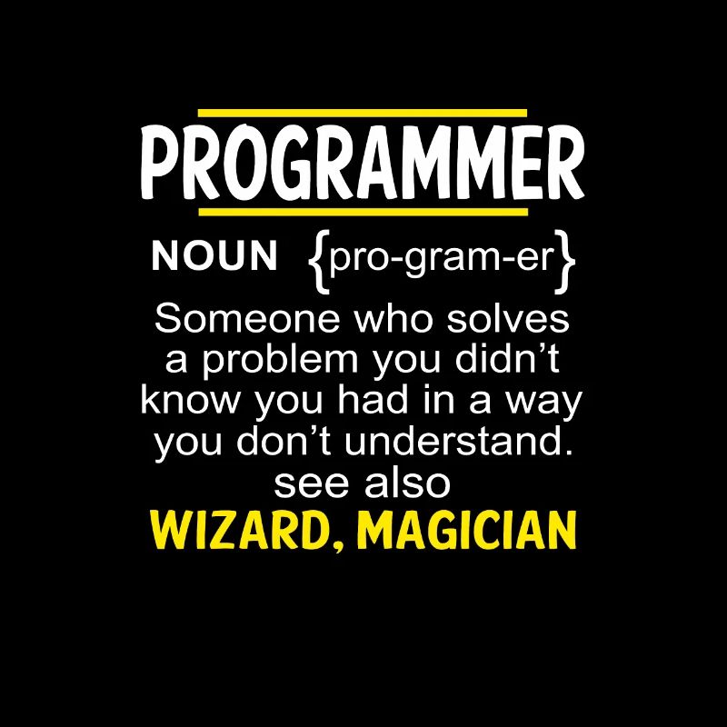 Funny Developer Coder IT Programmer Gift