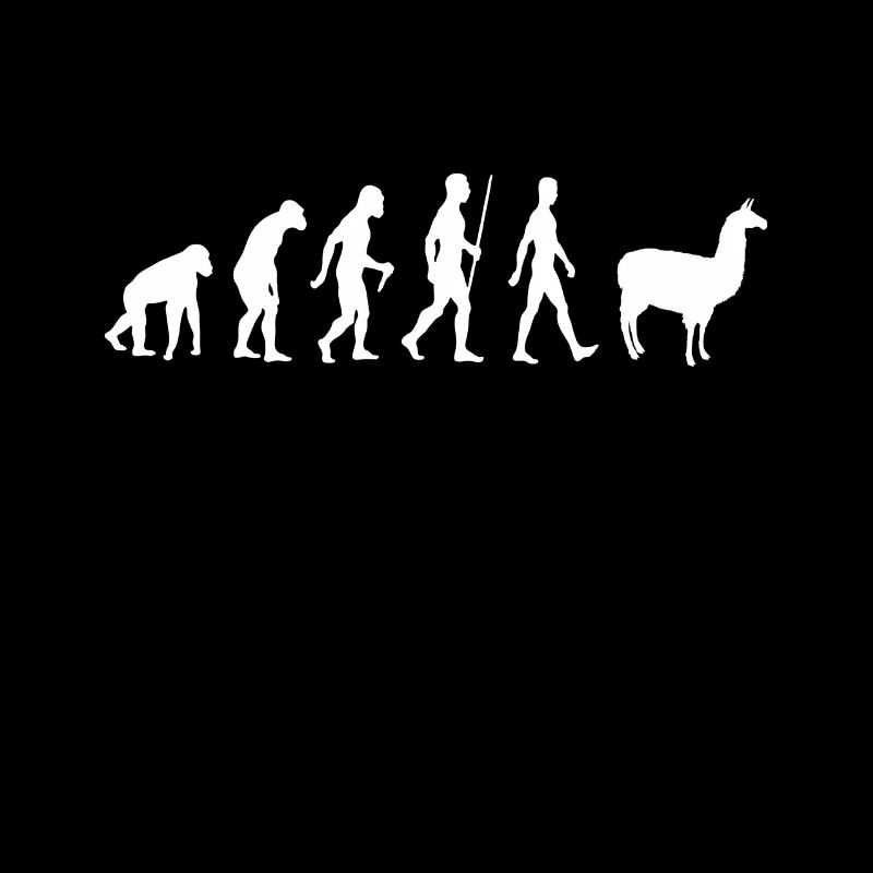Funny Llama Alpaca Gift