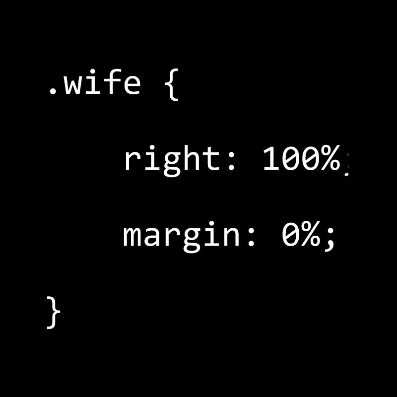 CSS Wife Right Softwareentwickler Developer