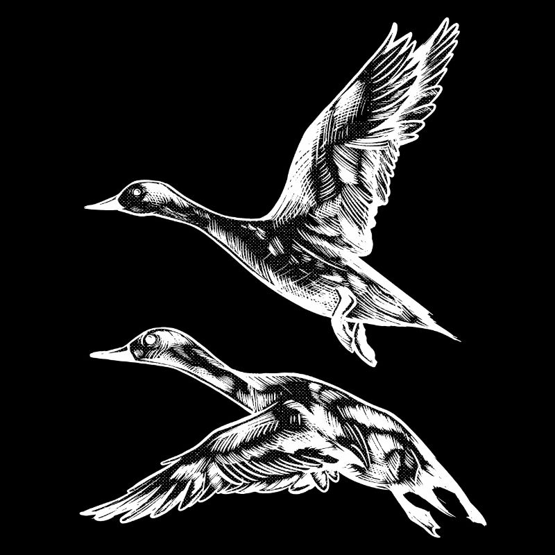 Flight duck
