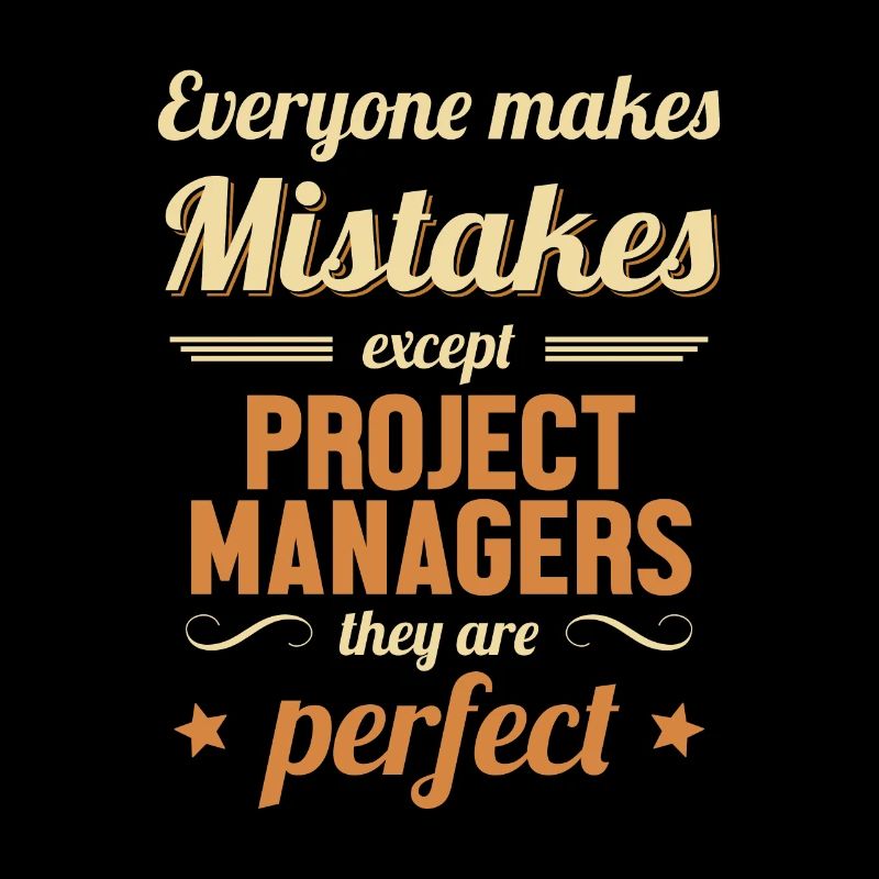 Project Manager are Perfect Project Engineer