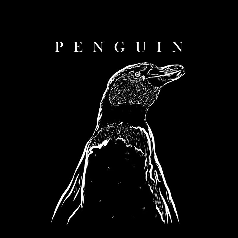 Seevogel Königspinguin Kaiserpinguin Pinguin