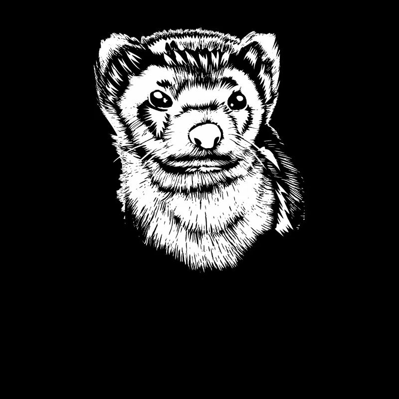 Frettchen Iltis Niedlich