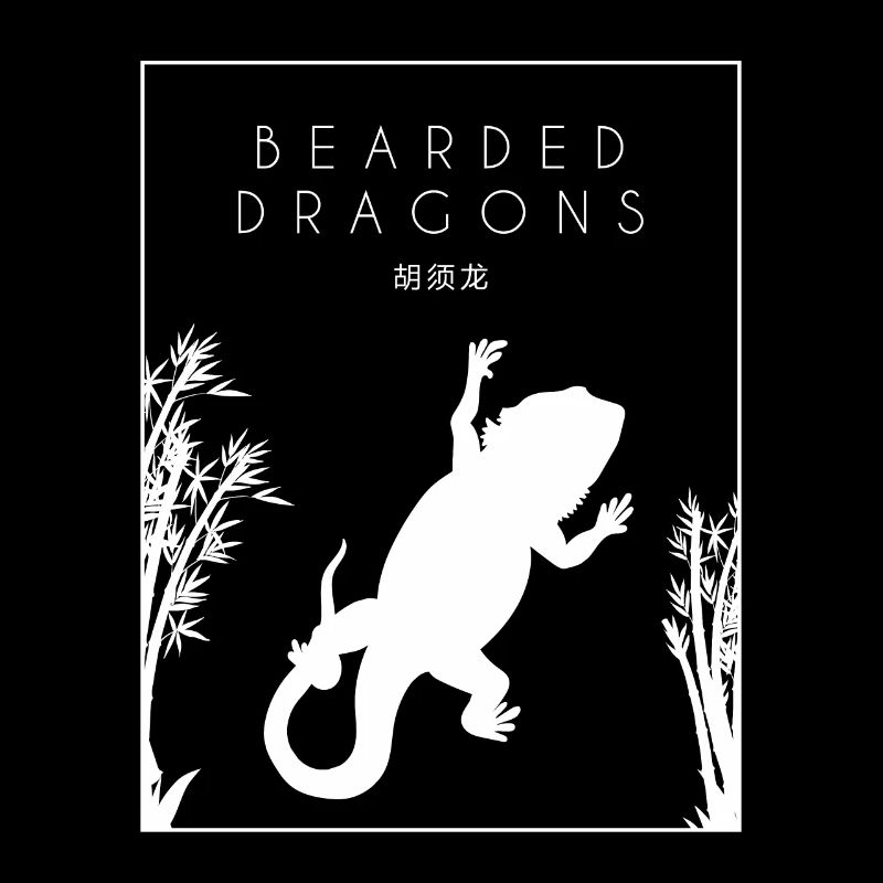 Bartagamen Chinesische Hanzi Pogona Eidechse