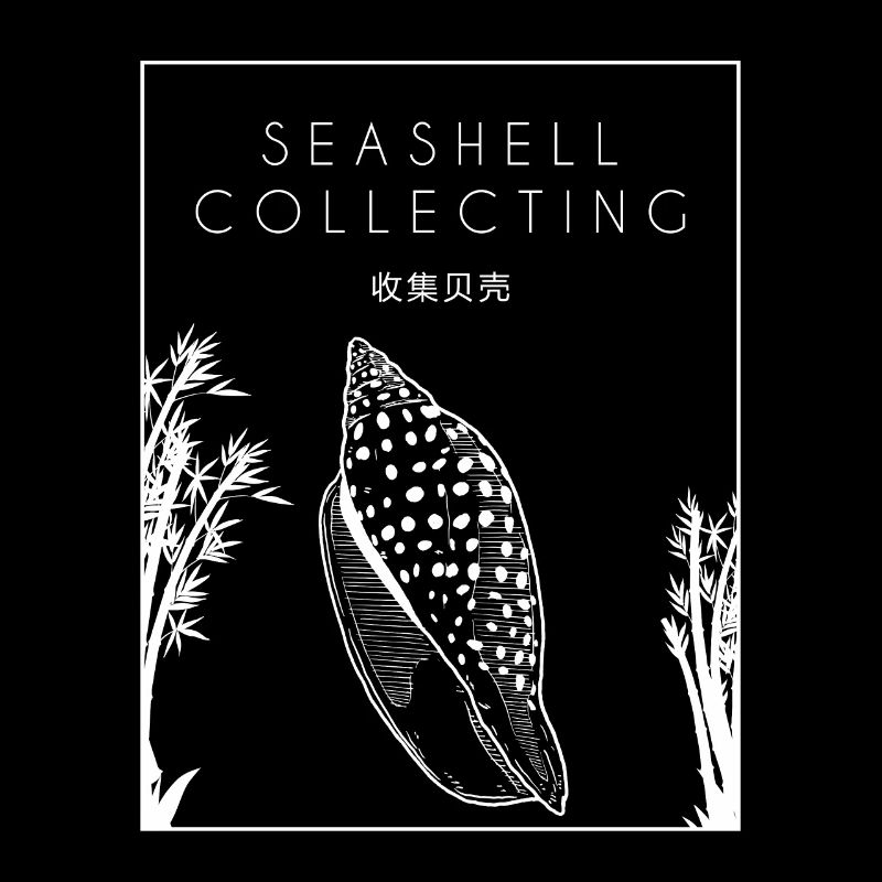 Seashell Collecting Chinese Hanzi Shell Seashell