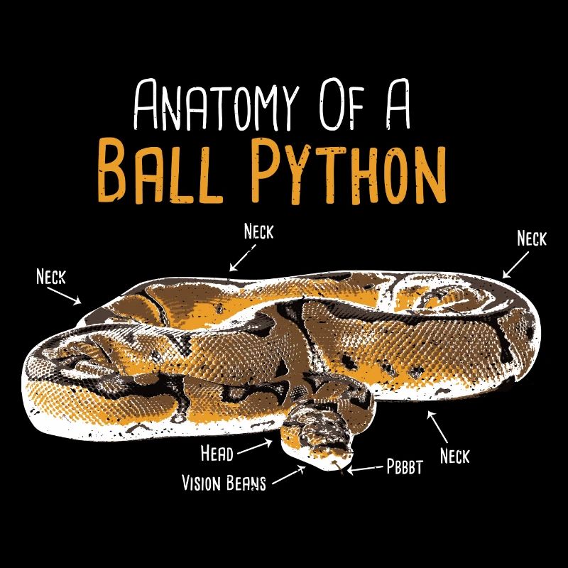 Anatomy Of A Ball Python - Schlange