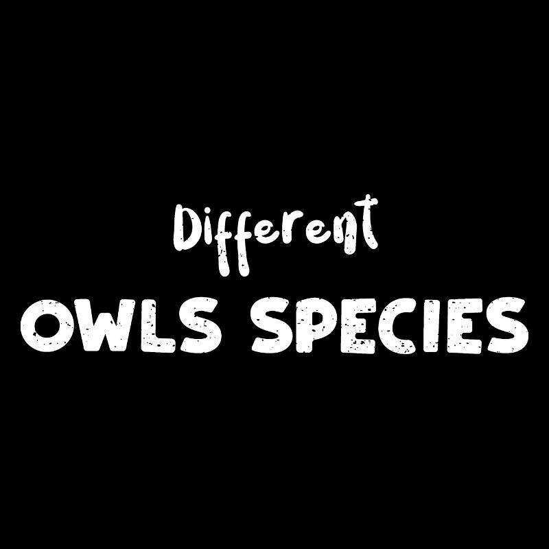 Différentes espèces de hiboux - Oiseaux