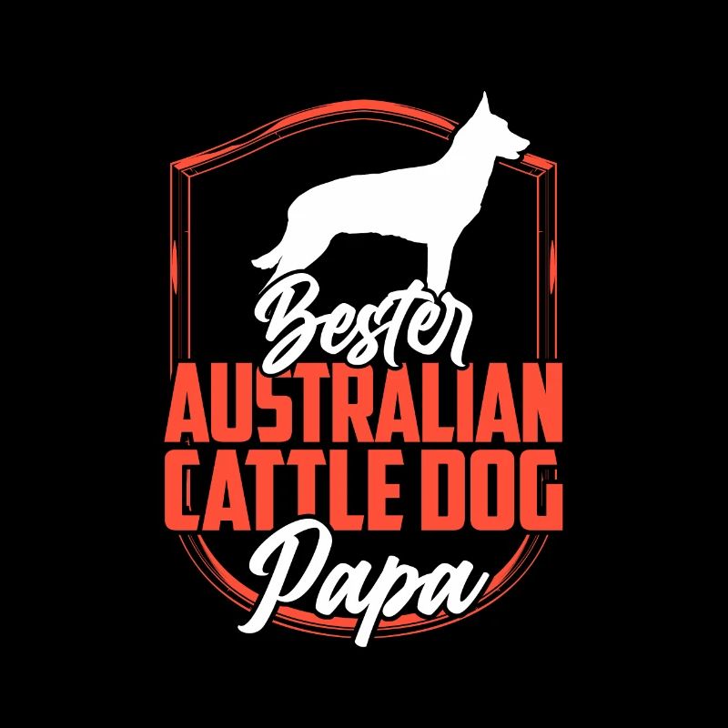 Australian Cattle Dog Papa Treibhund