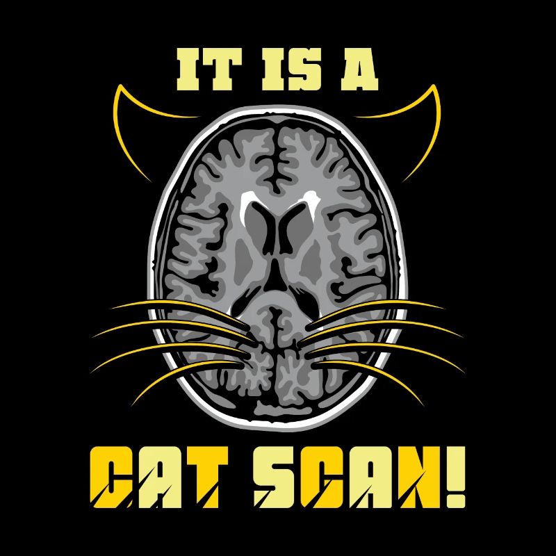 It Is a CAT SCAN
