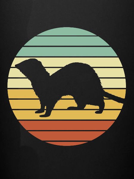 Furet