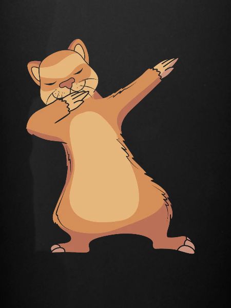 Furet