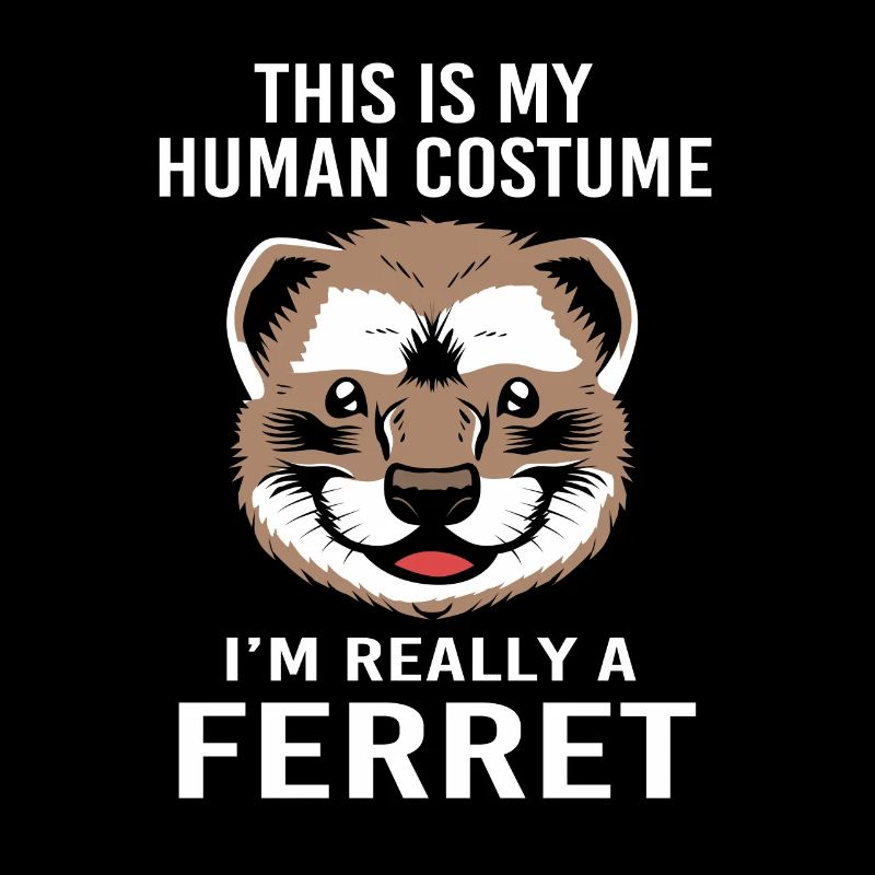 Furet