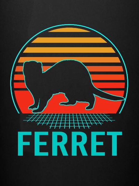 Furet