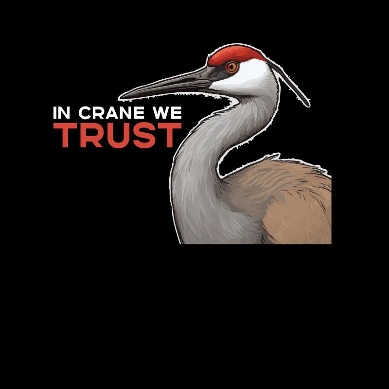 Amateurs de grues du Canada Observation des oiseaux