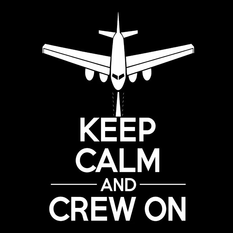 Flugbegleiterin Der Luftfahrtprofi Cabin Crew