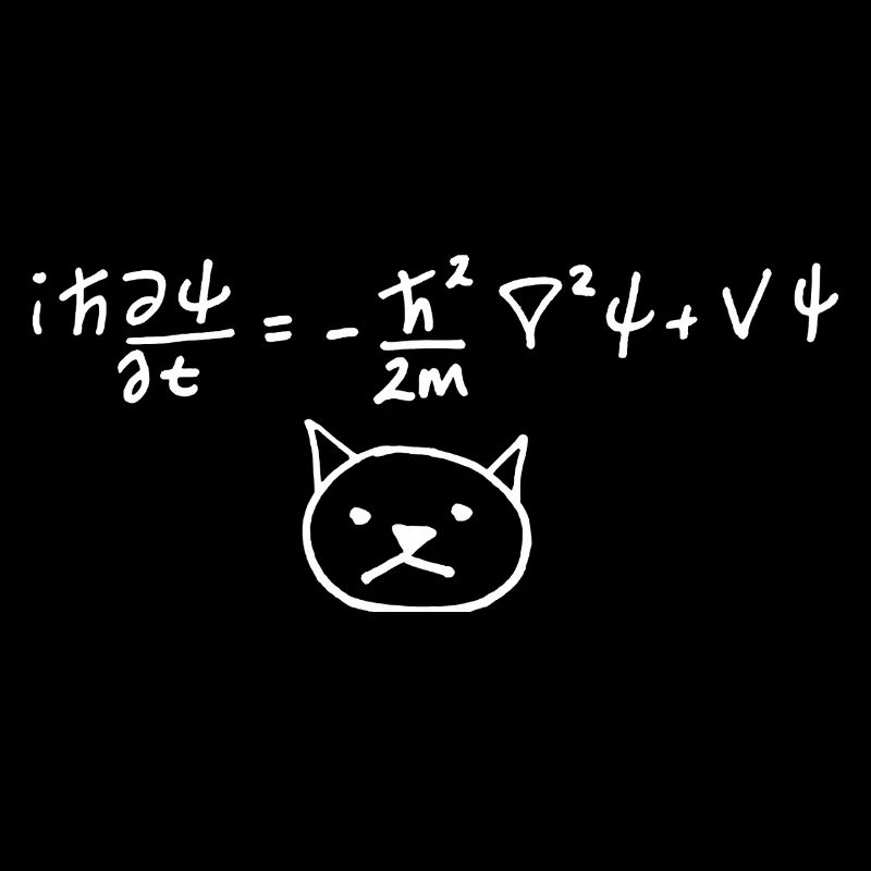 Physical Cat with Equation on White
