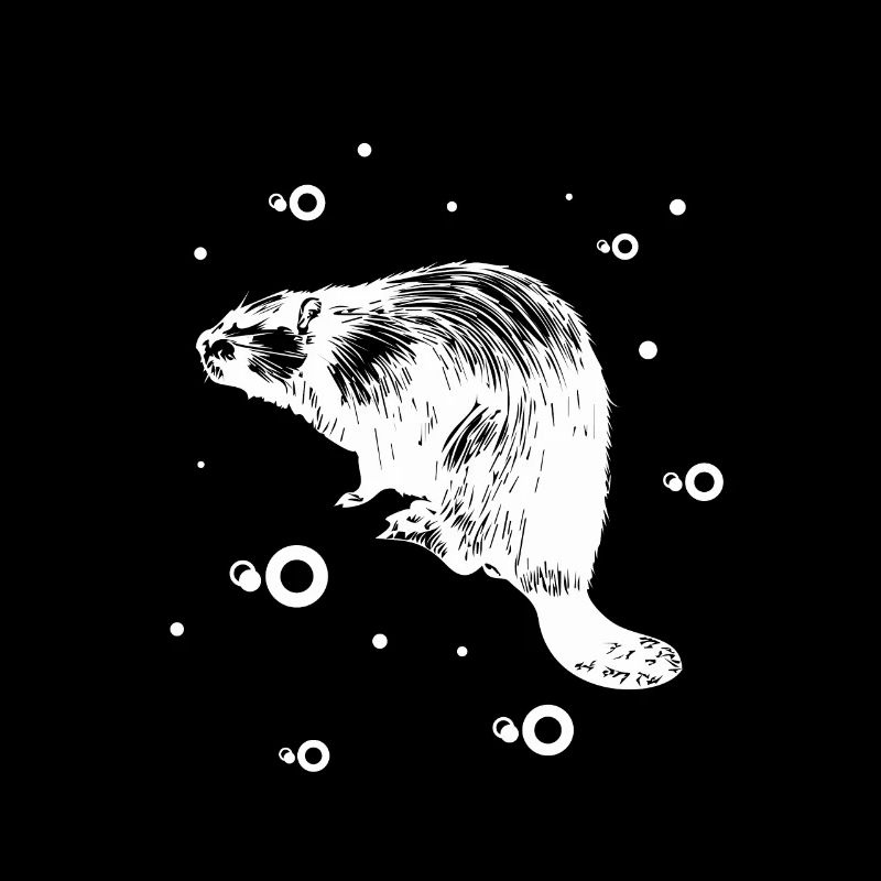 Belette d’hermine Marder