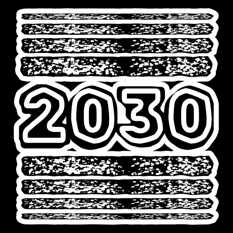 Year 2030