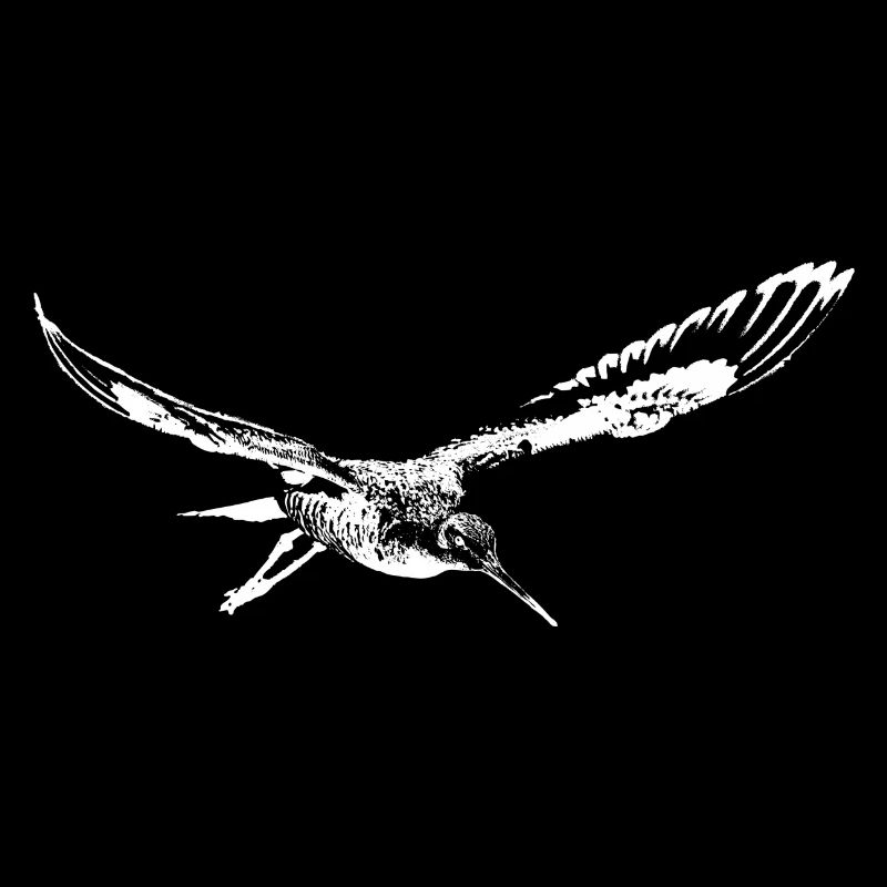 Échassier bécassine de rivage