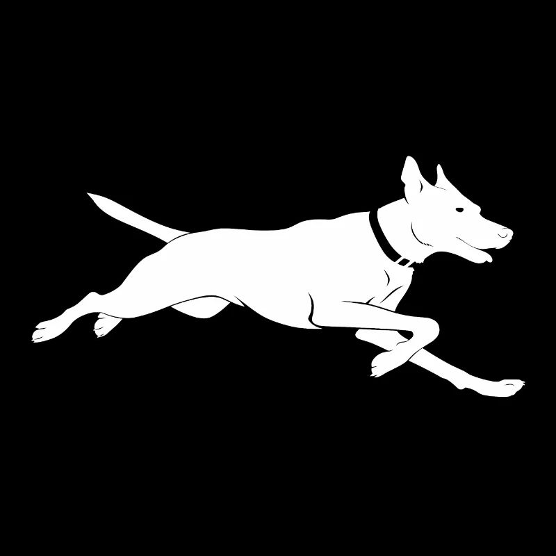 Parcours pour chiens