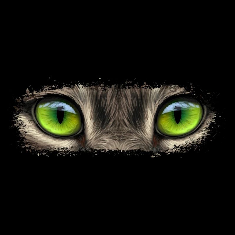Animals eye