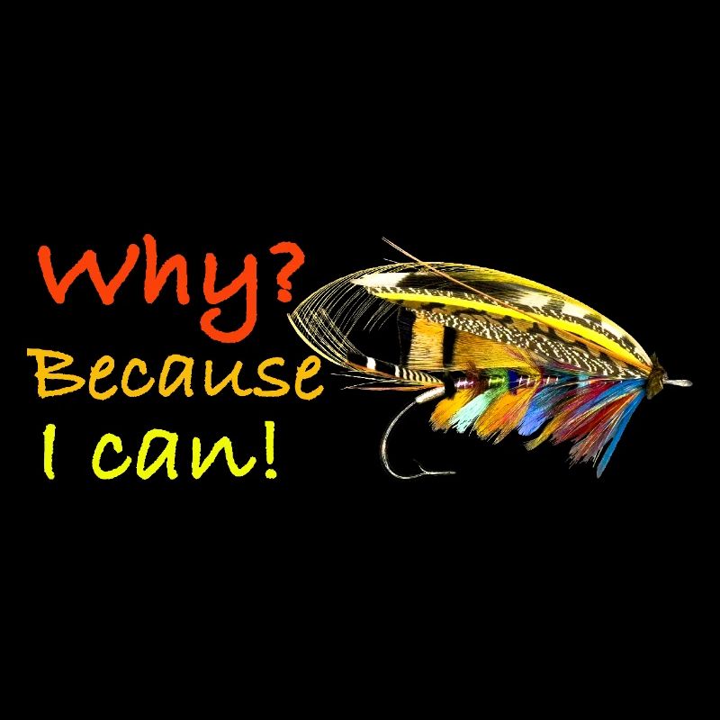 Why because i can Ghost Fly