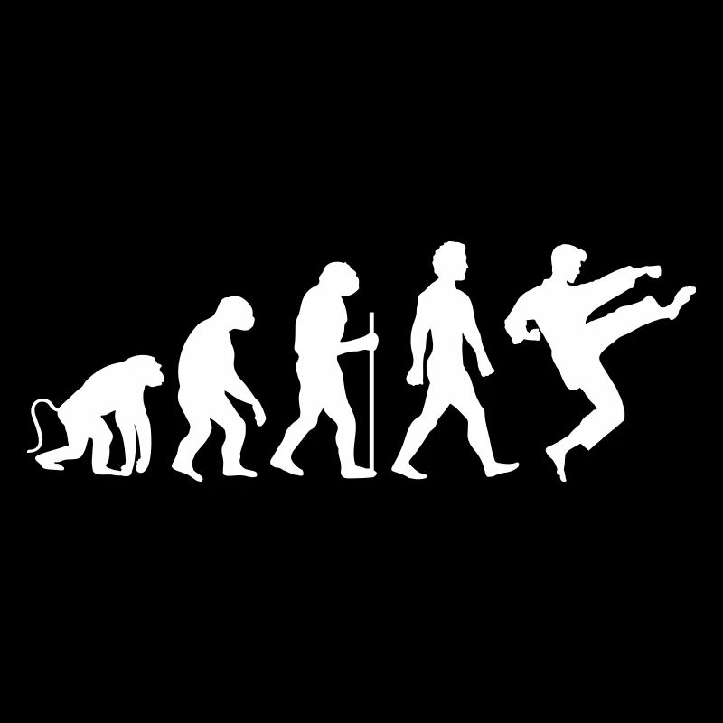 karate evolution