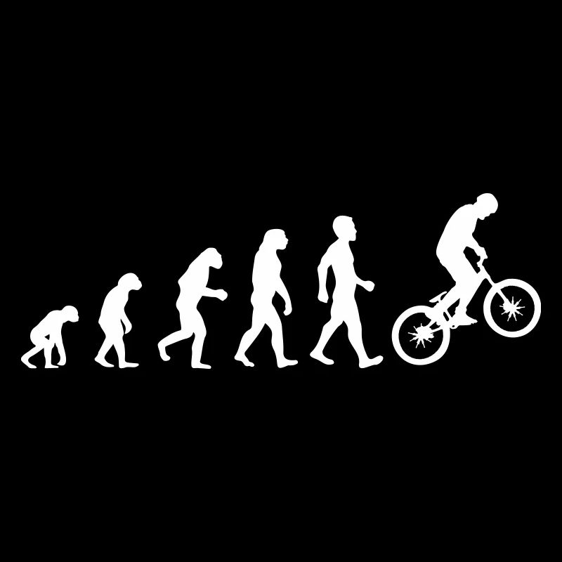 Evolution BMX Bike