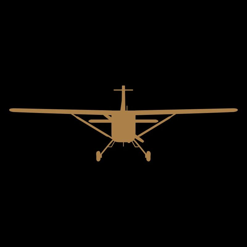 Flugzeug-Silhouette von vorn [vec]