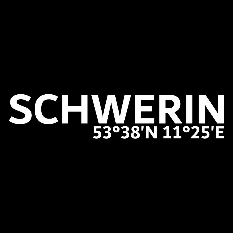 Coordonnées de Schwerin