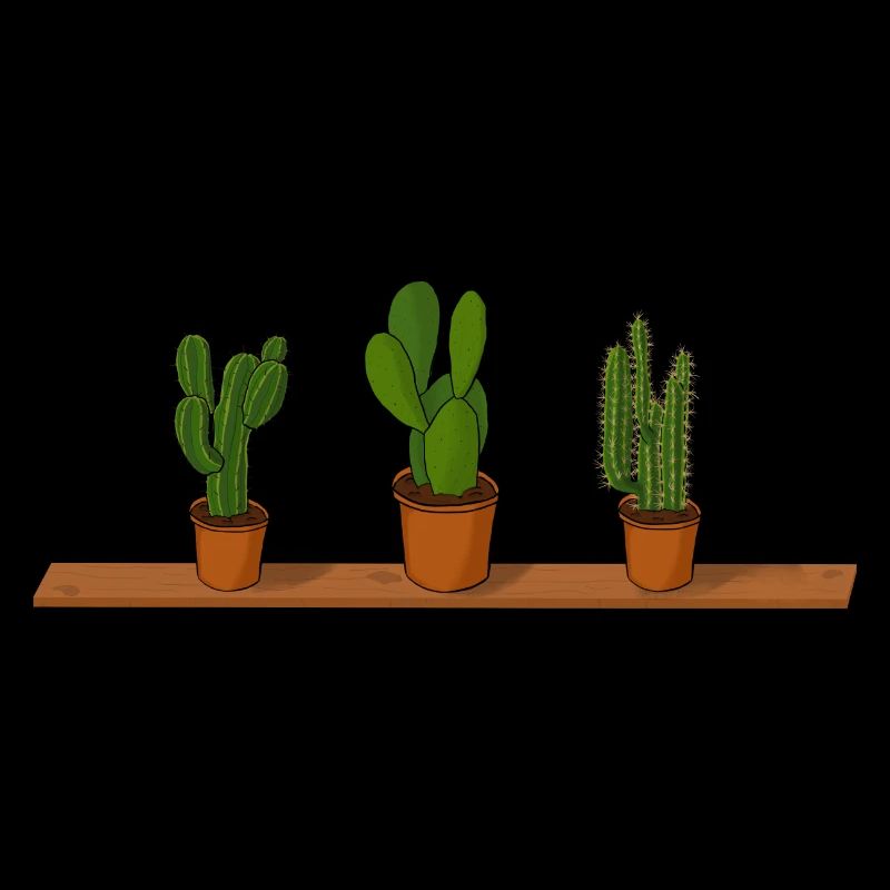 Potted plants cactus