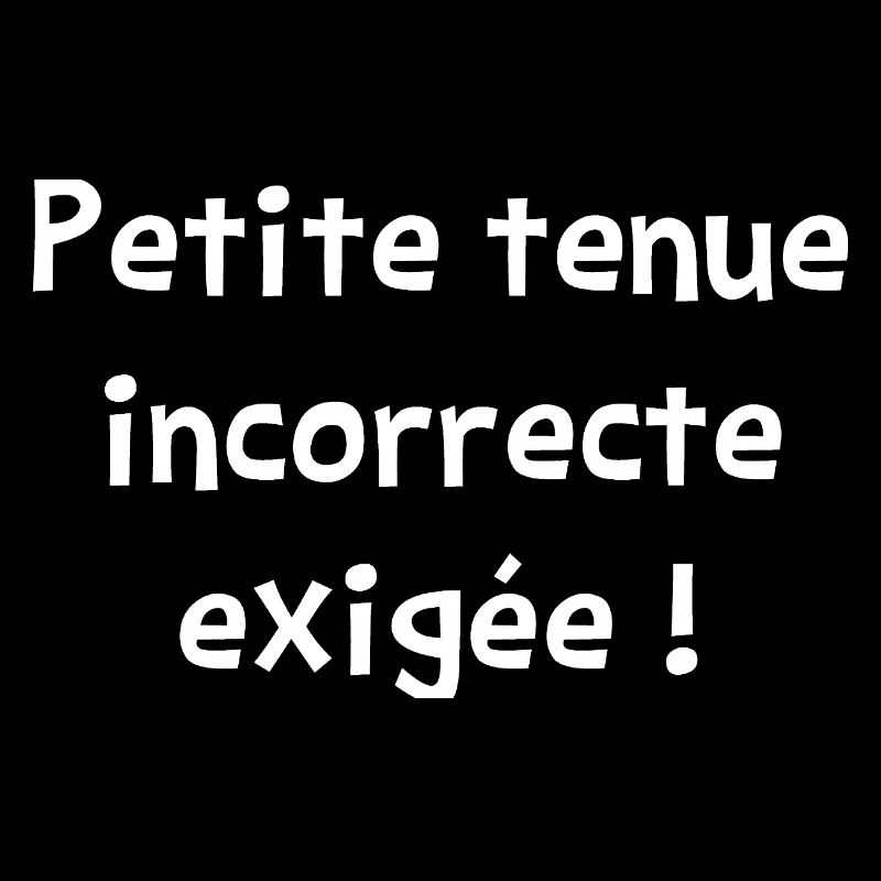 PETITE TENUE INCORRECTE EXIGÉE ! (amour) 