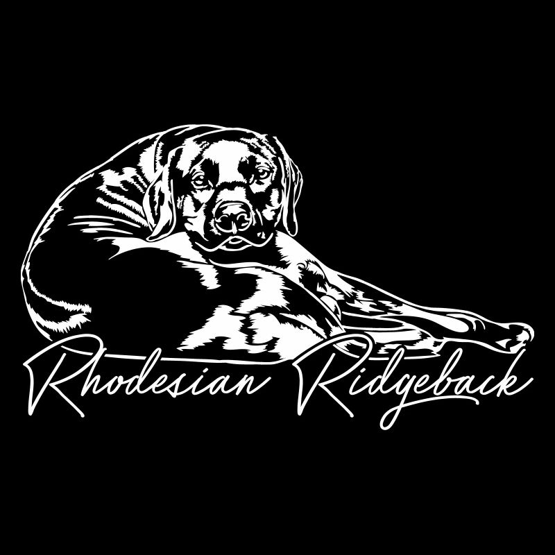 RHODESIAN RIDGEBACK Race de chiens Lionhound de Wilsign