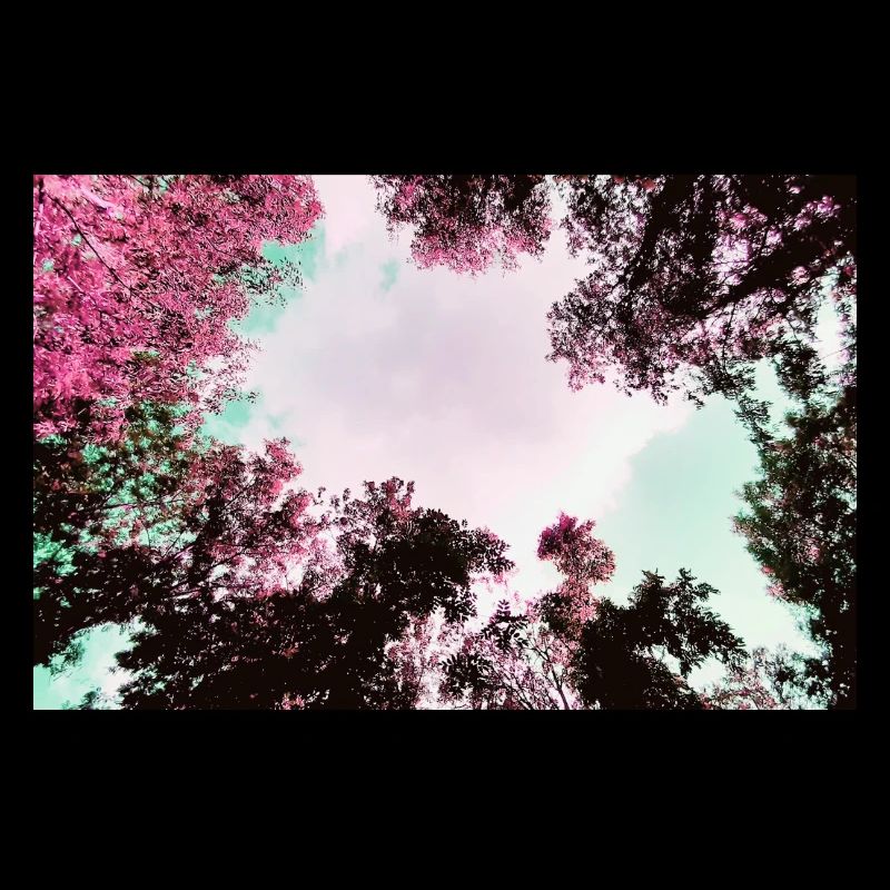 Regard sur le printemps de septembre