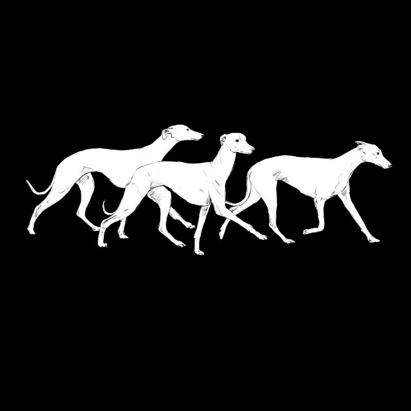 Drei Whippets