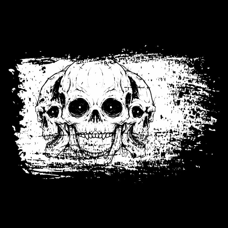 Bleached Frame Skulls