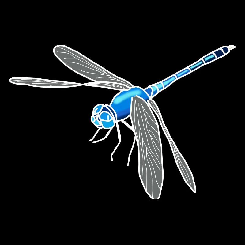Libelle lineart